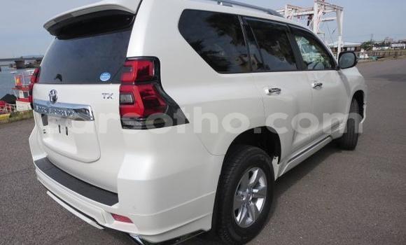 اشتري Imported Toyota Land Cruiser Prado White سيارة في Butha Buthe في Butha-Buthe اشتري Imported Toyota Land Cruiser Prado White سيارة في Butha Buthe في Butha-Buthe