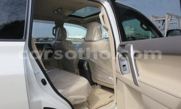 اشتري Imported Toyota Land Cruiser Prado White سيارة في Butha Buthe في Butha-Buthe اشتري Imported Toyota Land Cruiser Prado White سيارة في Butha Buthe في Butha-Buthe