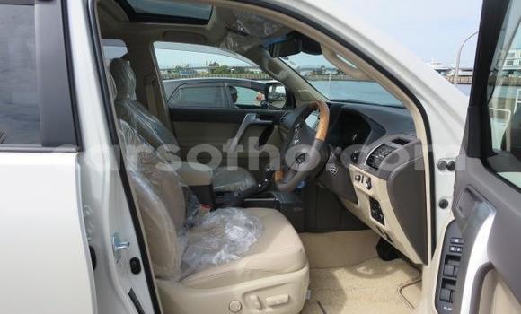اشتري Imported Toyota Land Cruiser Prado White سيارة في Butha Buthe في Butha-Buthe اشتري Imported Toyota Land Cruiser Prado White سيارة في Butha Buthe في Butha-Buthe