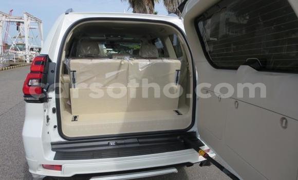 اشتري Imported Toyota Land Cruiser Prado White سيارة في Butha Buthe في Butha-Buthe اشتري Imported Toyota Land Cruiser Prado White سيارة في Butha Buthe في Butha-Buthe