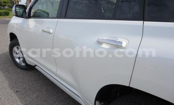 اشتري Imported Toyota Land Cruiser Prado White سيارة في Butha Buthe في Butha-Buthe اشتري Imported Toyota Land Cruiser Prado White سيارة في Butha Buthe في Butha-Buthe