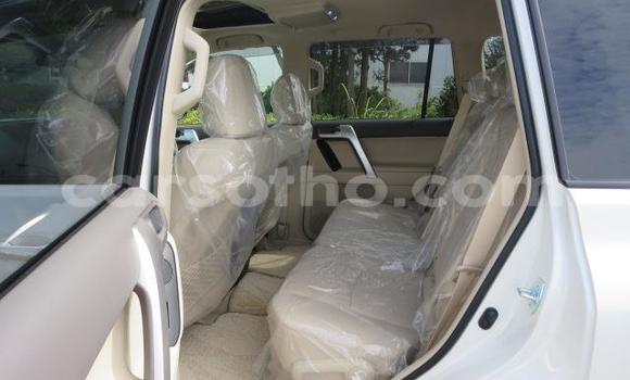 اشتري Imported Toyota Land Cruiser Prado White سيارة في Butha Buthe في Butha-Buthe اشتري Imported Toyota Land Cruiser Prado White سيارة في Butha Buthe في Butha-Buthe