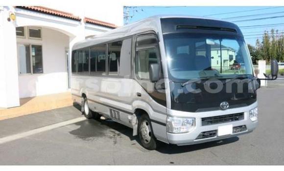 اشتري مستعمل Toyota Coaster Other سيارة في Butha–Buthe في Thaba-Tseka اشتري مستعمل Toyota Coaster Other سيارة في Butha–Buthe في Thaba-Tseka