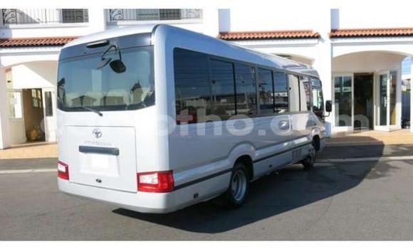 اشتري مستعمل Toyota Coaster Other سيارة في Butha–Buthe في Thaba-Tseka اشتري مستعمل Toyota Coaster Other سيارة في Butha–Buthe في Thaba-Tseka