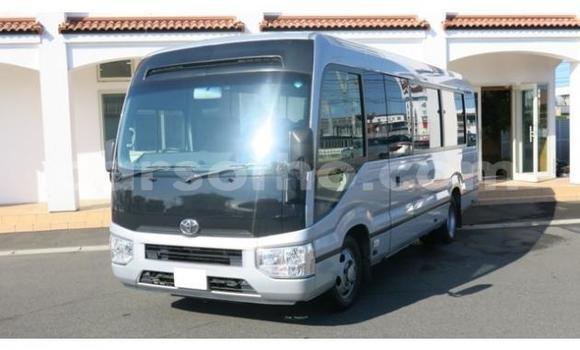 اشتري مستعمل Toyota Coaster Other سيارة في Butha–Buthe في Thaba-Tseka اشتري مستعمل Toyota Coaster Other سيارة في Butha–Buthe في Thaba-Tseka