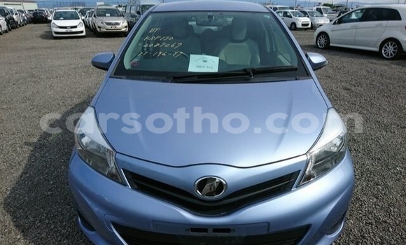 Buy Used Toyota Yaris Blue Car in Maseru in Maseru Buy Used Toyota Yaris Blue Car in Maseru in Maseru