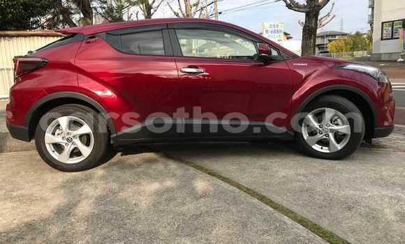 اشتري مستعمل Toyota C-HR Red سيارة في Quthing في Butha-Buthe اشتري مستعمل Toyota C-HR Red سيارة في Quthing في Butha-Buthe