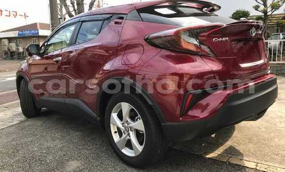 اشتري مستعمل Toyota C-HR Red سيارة في Quthing في Butha-Buthe اشتري مستعمل Toyota C-HR Red سيارة في Quthing في Butha-Buthe