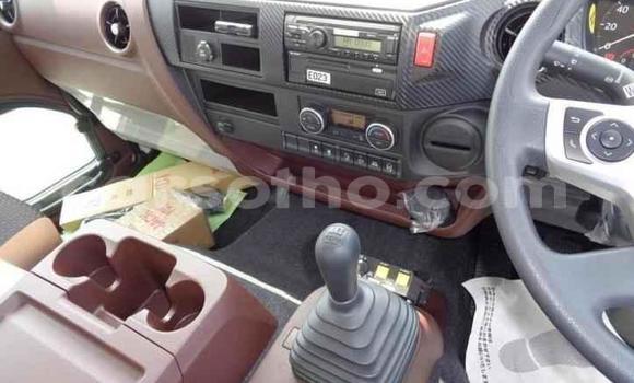 Acheter Import Utilitaire Hino Ranger Blanc à Maseru, Maseru Acheter Import Utilitaire Hino Ranger Blanc à Maseru, Maseru