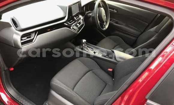 اشتري مستعمل Toyota C-HR Red سيارة في Quthing في Butha-Buthe اشتري مستعمل Toyota C-HR Red سيارة في Quthing في Butha-Buthe