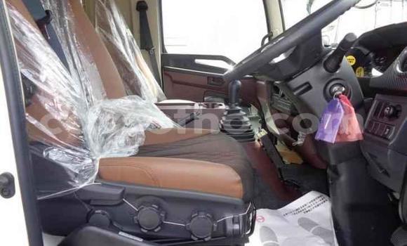 Acheter Import Utilitaire Hino Ranger Blanc à Maseru, Maseru Acheter Import Utilitaire Hino Ranger Blanc à Maseru, Maseru
