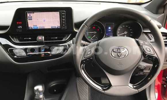 اشتري مستعمل Toyota C-HR Red سيارة في Quthing في Butha-Buthe اشتري مستعمل Toyota C-HR Red سيارة في Quthing في Butha-Buthe