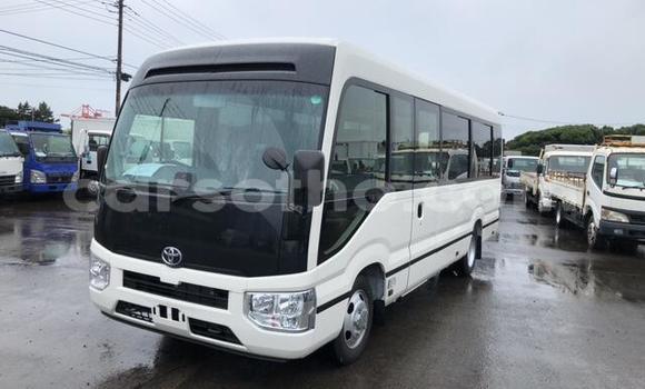 اشتري Imported Toyota Coaster Other سيارة في Maseru في Maseru اشتري Imported Toyota Coaster Other سيارة في Maseru في Maseru
