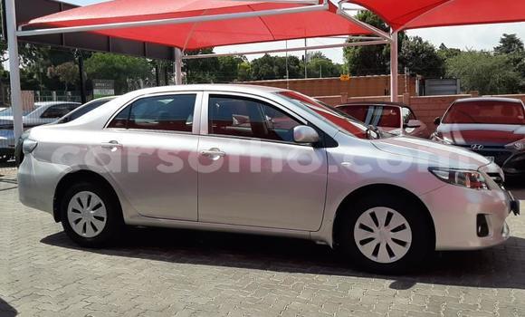 Sayi Na hannu Toyota Corolla Silver Mota in Butha–Buthe a Thaba-Tseka Sayi Na hannu Toyota Corolla Silver Mota in Butha–Buthe a Thaba-Tseka