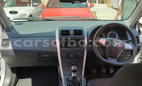 Sayi Na hannu Toyota Corolla Silver Mota in Butha–Buthe a Thaba-Tseka Sayi Na hannu Toyota Corolla Silver Mota in Butha–Buthe a Thaba-Tseka