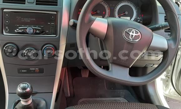 Sayi Na hannu Toyota Corolla Silver Mota in Butha–Buthe a Thaba-Tseka Sayi Na hannu Toyota Corolla Silver Mota in Butha–Buthe a Thaba-Tseka