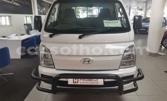 Buy Used Hyundai H200 White Truck in Maseru in Maseru Buy Used Hyundai H200 White Truck in Maseru in Maseru