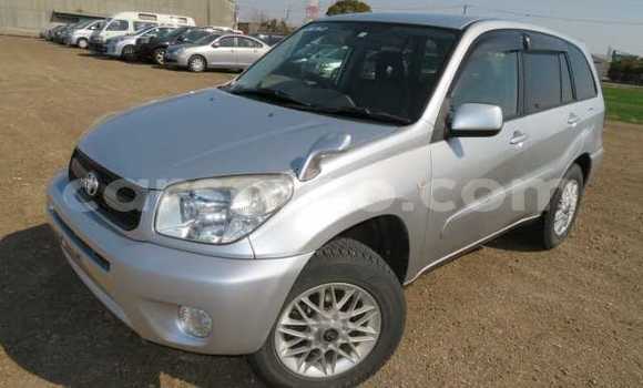 Buy Used Toyota RAV4 Silver Car in Quthing in Butha-Buthe Buy Used Toyota RAV4 Silver Car in Quthing in Butha-Buthe