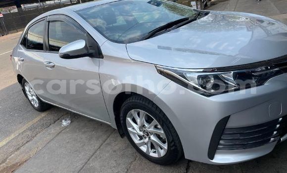 Buy Used Toyota Corolla Silver Car in Maseru in Maseru Buy Used Toyota Corolla Silver Car in Maseru in Maseru