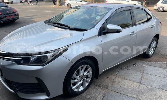 Buy Used Toyota Corolla Silver Car in Maseru in Maseru Buy Used Toyota Corolla Silver Car in Maseru in Maseru