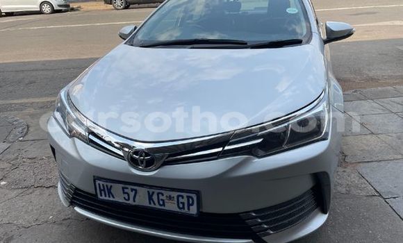 Buy Used Toyota Corolla Silver Car in Maseru in Maseru Buy Used Toyota Corolla Silver Car in Maseru in Maseru