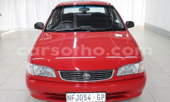 Acheter Occasion Voiture Toyota Corolla Rouge à Maseru, Maseru Acheter Occasion Voiture Toyota Corolla Rouge à Maseru, Maseru