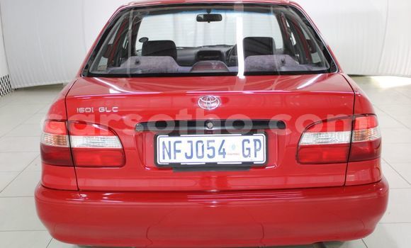 Acheter Occasion Voiture Toyota Corolla Rouge à Maseru, Maseru Acheter Occasion Voiture Toyota Corolla Rouge à Maseru, Maseru