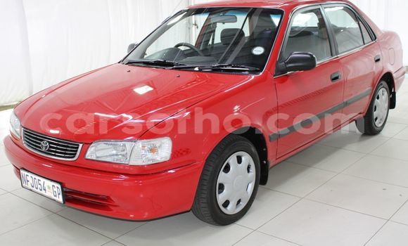 Acheter Occasion Voiture Toyota Corolla Rouge à Maseru, Maseru Acheter Occasion Voiture Toyota Corolla Rouge à Maseru, Maseru