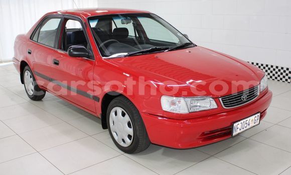 Acheter Occasion Voiture Toyota Corolla Rouge à Maseru, Maseru Acheter Occasion Voiture Toyota Corolla Rouge à Maseru, Maseru