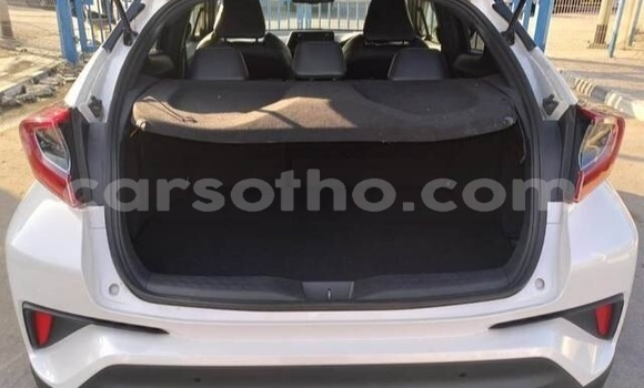 اشتري مستعمل Toyota C-HR White سيارة في Maseru في Maseru اشتري مستعمل Toyota C-HR White سيارة في Maseru في Maseru