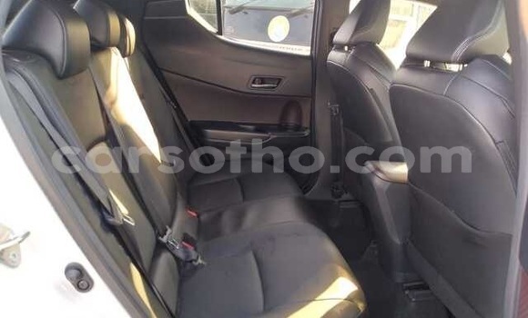 اشتري مستعمل Toyota C-HR White سيارة في Maseru في Maseru اشتري مستعمل Toyota C-HR White سيارة في Maseru في Maseru