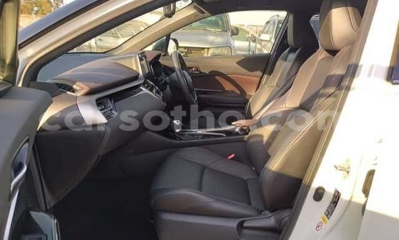 اشتري مستعمل Toyota C-HR White سيارة في Maseru في Maseru اشتري مستعمل Toyota C-HR White سيارة في Maseru في Maseru