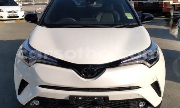 اشتري مستعمل Toyota C-HR White سيارة في Maseru في Maseru اشتري مستعمل Toyota C-HR White سيارة في Maseru في Maseru