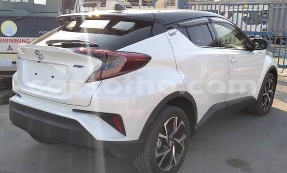 اشتري مستعمل Toyota C-HR White سيارة في Maseru في Maseru اشتري مستعمل Toyota C-HR White سيارة في Maseru في Maseru