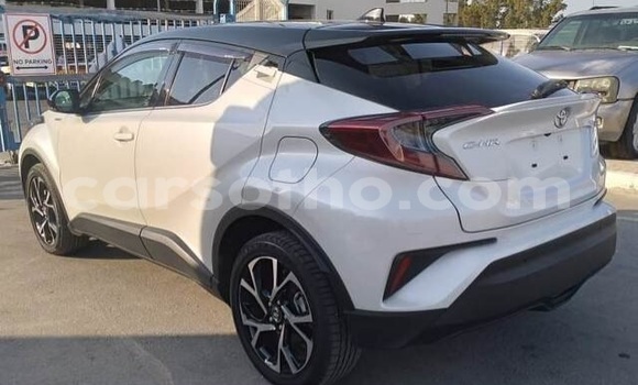 اشتري مستعمل Toyota C-HR White سيارة في Maseru في Maseru اشتري مستعمل Toyota C-HR White سيارة في Maseru في Maseru