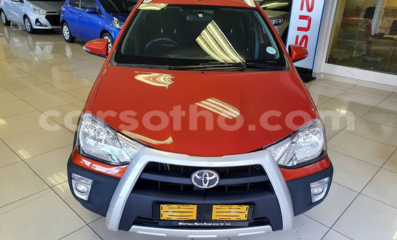 Buy Used Toyota Etios Brown Car in Maseru in Maseru Buy Used Toyota Etios Brown Car in Maseru in Maseru