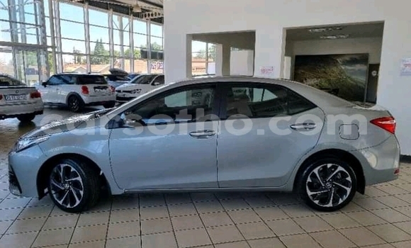 Acheter Occasion Voiture Toyota Corolla Gris à Maseru, Maseru Acheter Occasion Voiture Toyota Corolla Gris à Maseru, Maseru