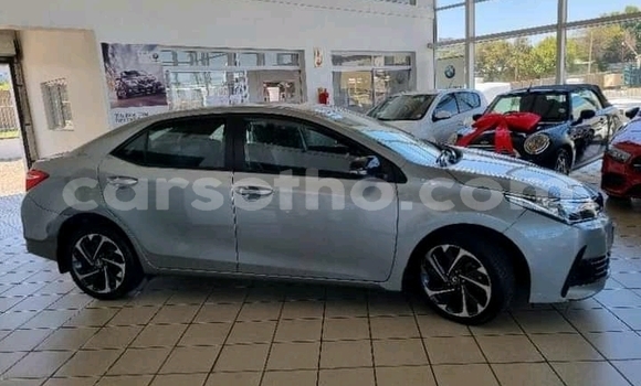 Acheter Occasion Voiture Toyota Corolla Gris à Maseru, Maseru Acheter Occasion Voiture Toyota Corolla Gris à Maseru, Maseru