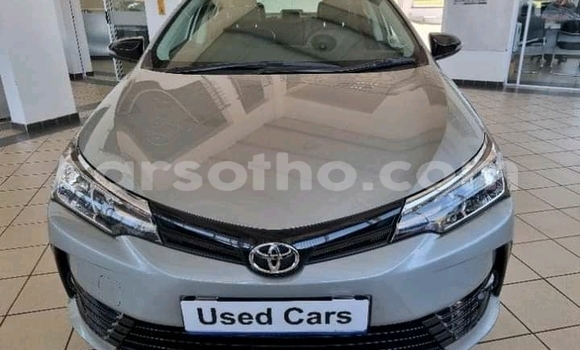 Acheter Occasion Voiture Toyota Corolla Gris à Maseru, Maseru Acheter Occasion Voiture Toyota Corolla Gris à Maseru, Maseru