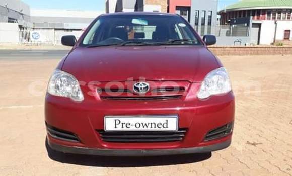 Sayi Na hannu Toyota Runx Other Mota in Butha–Buthe a Thaba-Tseka Sayi Na hannu Toyota Runx Other Mota in Butha–Buthe a Thaba-Tseka