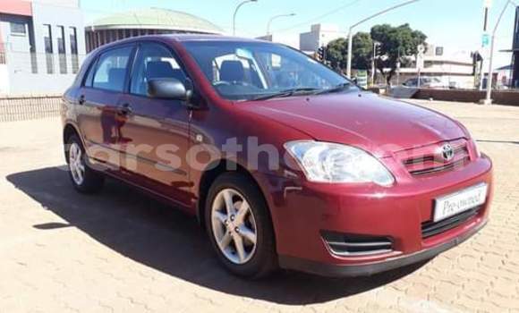 Sayi Na hannu Toyota Runx Other Mota in Butha–Buthe a Thaba-Tseka Sayi Na hannu Toyota Runx Other Mota in Butha–Buthe a Thaba-Tseka