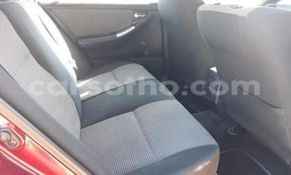 Sayi Na hannu Toyota Runx Other Mota in Butha–Buthe a Thaba-Tseka Sayi Na hannu Toyota Runx Other Mota in Butha–Buthe a Thaba-Tseka