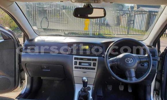 Sayi Na hannu Toyota Corolla Silver Mota in Mohale's Hoek a Mohale's Hoek Sayi Na hannu Toyota Corolla Silver Mota in Mohale's Hoek a Mohale's Hoek