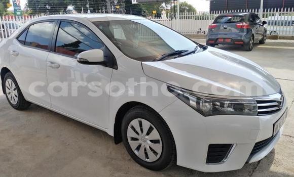 Sayi Na hannu Toyota Corolla Black Mota in Maseru a Maseru Sayi Na hannu Toyota Corolla Black Mota in Maseru a Maseru