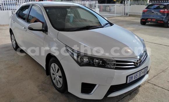 Sayi Na hannu Toyota Corolla Black Mota in Maseru a Maseru Sayi Na hannu Toyota Corolla Black Mota in Maseru a Maseru