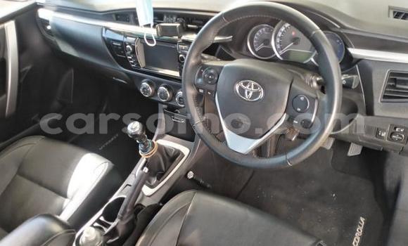 Sayi Na hannu Toyota Corolla Black Mota in Maseru a Maseru Sayi Na hannu Toyota Corolla Black Mota in Maseru a Maseru