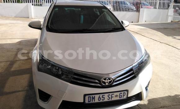 Sayi Na hannu Toyota Corolla Black Mota in Maseru a Maseru Sayi Na hannu Toyota Corolla Black Mota in Maseru a Maseru