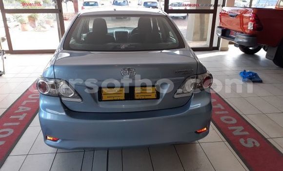 Acheter Occasion Voiture Toyota Corolla Bleu à Butha Buthe, Butha-Buthe Acheter Occasion Voiture Toyota Corolla Bleu à Butha Buthe, Butha-Buthe