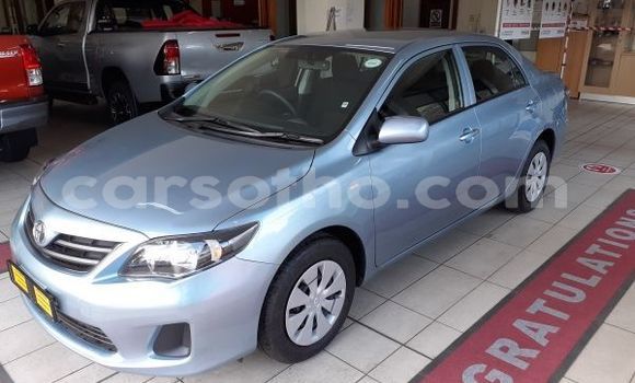 Acheter Occasion Voiture Toyota Corolla Bleu à Butha Buthe, Butha-Buthe Acheter Occasion Voiture Toyota Corolla Bleu à Butha Buthe, Butha-Buthe