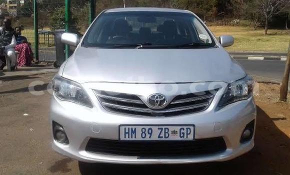 Acheter Occasion Voiture Toyota Corolla Gris à Maputsoe, Leribe Acheter Occasion Voiture Toyota Corolla Gris à Maputsoe, Leribe